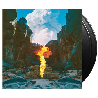 BONOBO Migration Vinyl (Black, 12', 2LP)