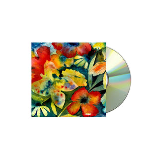 ADRIANNE LENKER Songs And Instrumentals CD