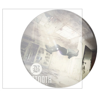BEARTOOTH Disgusting Vinyl (Picture Disc, 1LP)