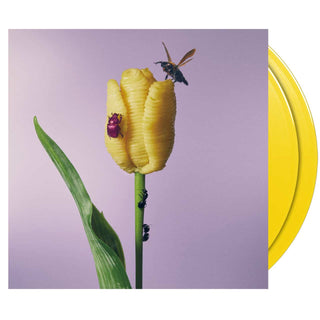 AIMYON Oishii Pasta ga Aru to Kiite Vinyl (Translucent Yellow, 12', 2LP)