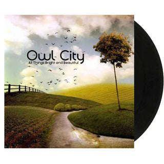 OWL CITY All Things Bright and Beautiful Vinyl (Black)