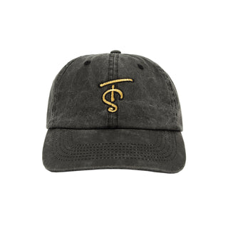 TAYLOR SWIFT TS Washed Dad Hat/Cap