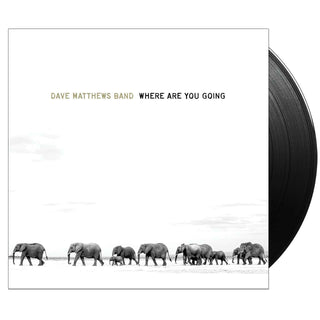 DAVE MATTHEWS BAND Where Are You Going: The Singles Vinyl (Black, 2LP)