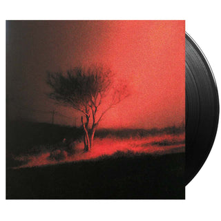 JOJI Piss In The Wind Vinyl (Black, 12', 1LP)
