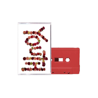 CITIZEN Youth Cassette (Red, Jewel Case)