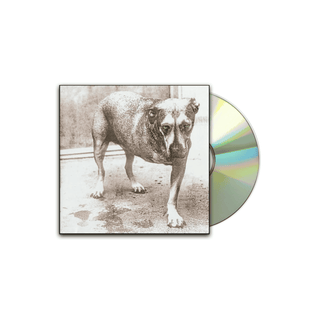 ALICE IN CHAINS Self Titled CD (Jewel Case)