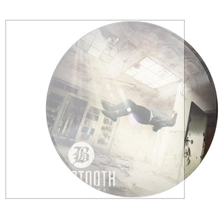 BEARTOOTH Disgusting Vinyl (Picture Disc, 12', 1LP)