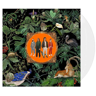 DON BROCO Amazing Things Vinyl (White, 1LP)
