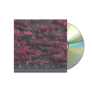 Even In Arcadia CD, Case Dent (Jewel Case)  by SLEEP TOKEN