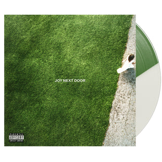 THE MAINE Joy Next Door Vinyl (Green White Split, 1LP)