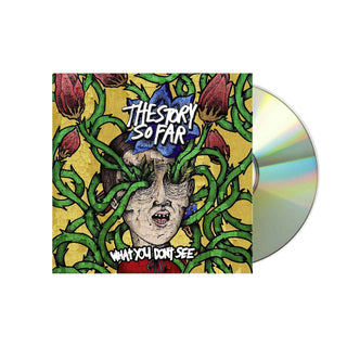 THE STORY SO FAR What You Don't See CD (Jewel Case)