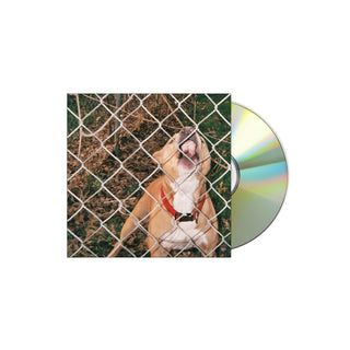 KNOCKED LOOSE Pop Culture CD (Jewel Case)