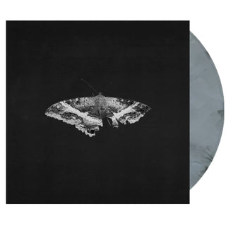 KENDRICK LAMAR To Pimp A Butterfly (10 Year Anniversary Edition) Vinyl, Cover Dent (Target, Graphite, 2LP)