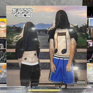 100 GECS 10000 GECS Vinyl (Black)