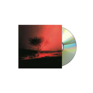 JOJI Piss In The Wind CD, Case Dent (Jewel Case)