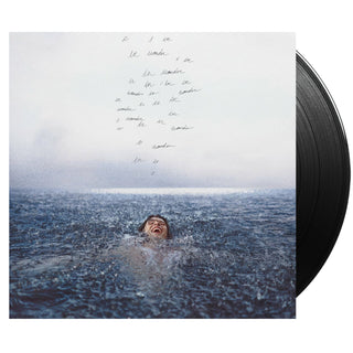 SHAWN MENDES Wonder Vinyl (Black, 12', 1LP)