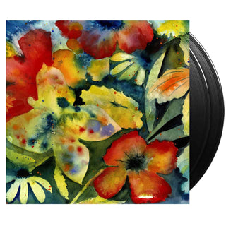 ADRIANNE LENKER Songs And Instrumentals Vinyl (Black, 2LP)