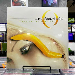 A PERFECT CIRCLE Thirteenth Step Vinyl (Black, 12', 2LP)US